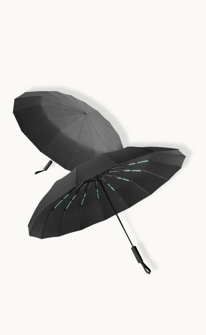 Parapluie de Voyage